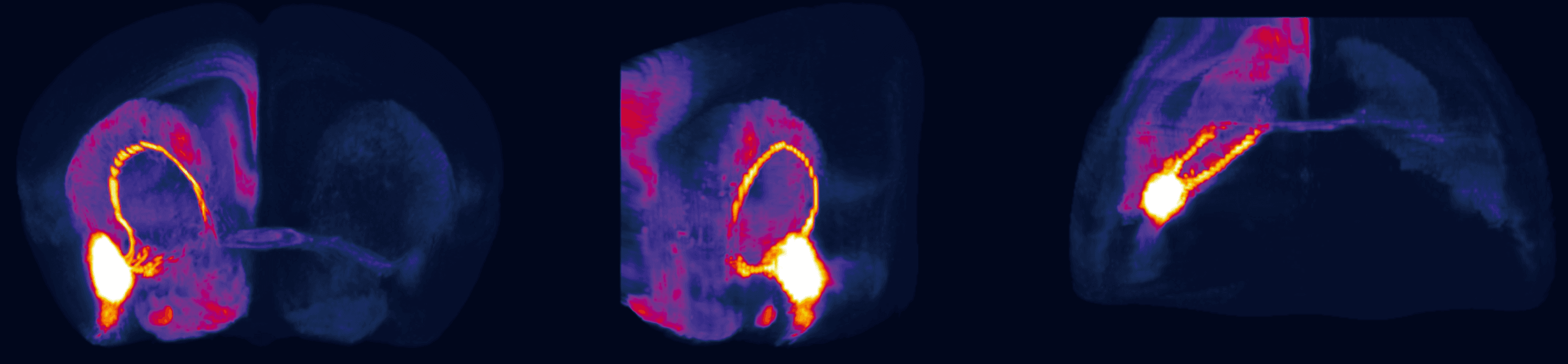 Publications Background