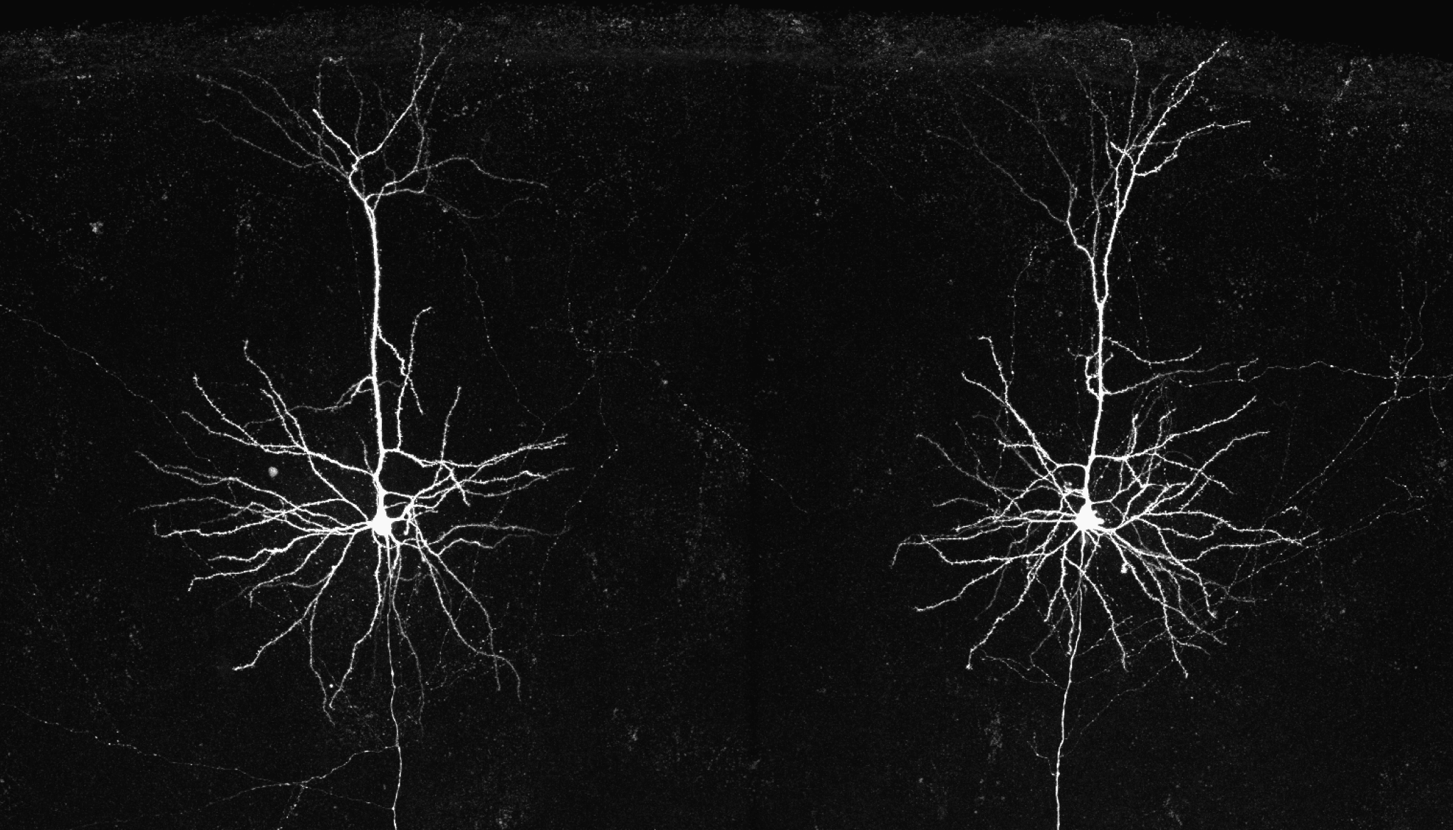 Resource Development Background